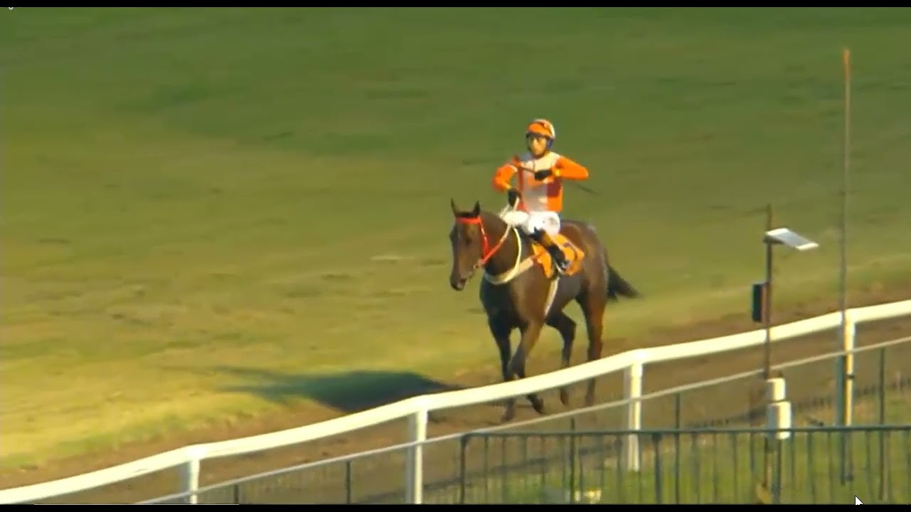 San Isidro RACE 13 -- 25 JAN 2026