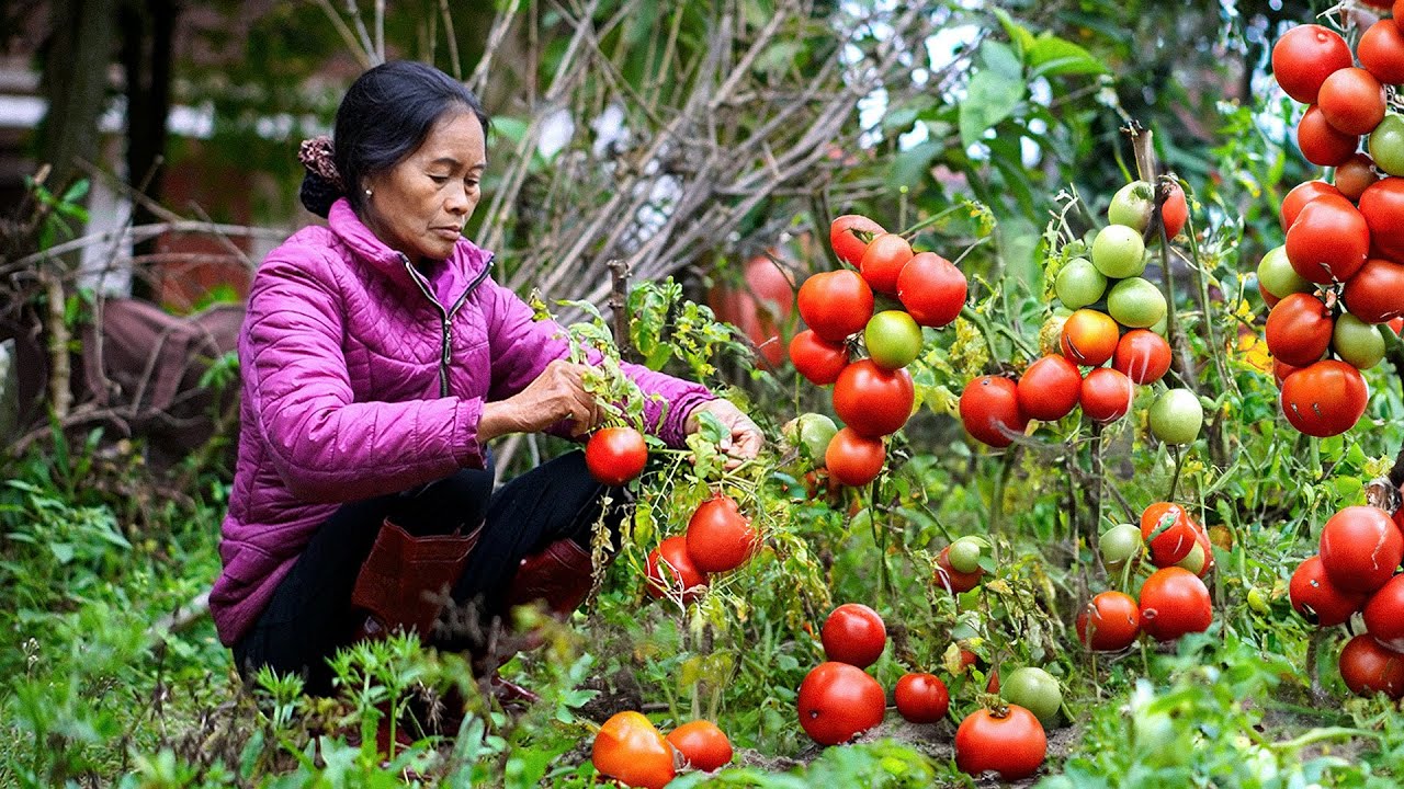 Xa nhà, con thèm lắm bữa cơm quê mẹ nấu I Con muốn chạy thật nhanh để về nhà với mẹ I Ẩm Thực Mẹ Làm