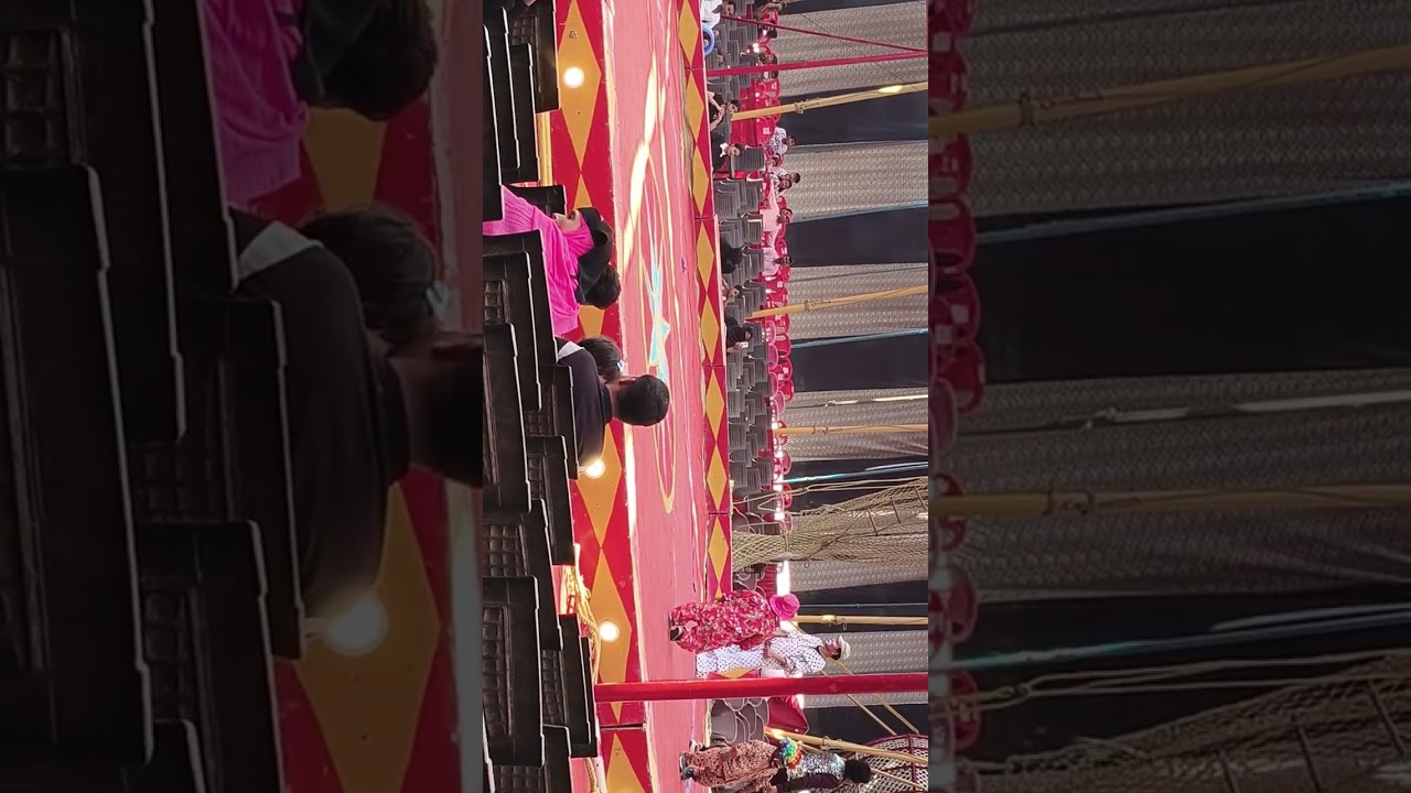 Siwan Royal circus 