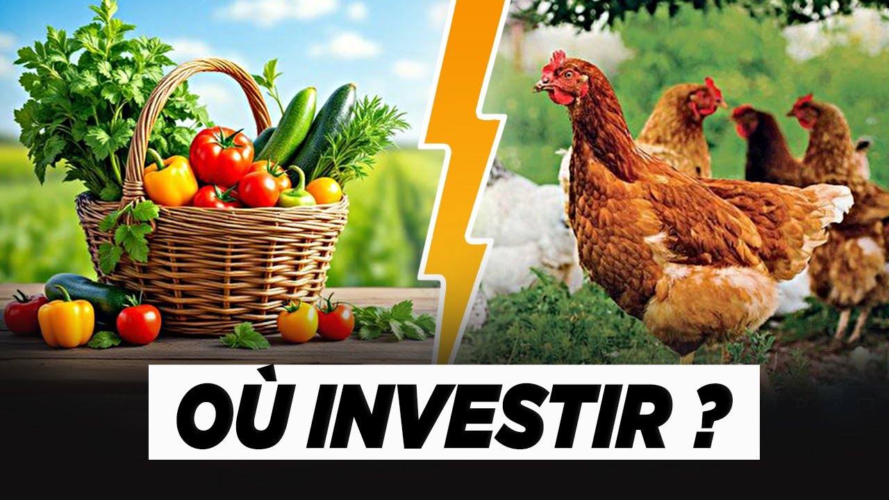 Il quitte le Canada pour créer une ferme au Sénégal