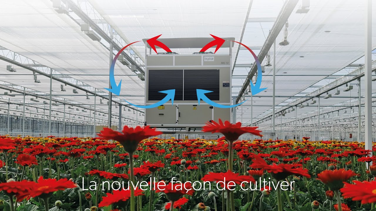 Déshumidificateurs pour les serres commerciales, les salles de culture et les salles de séchage