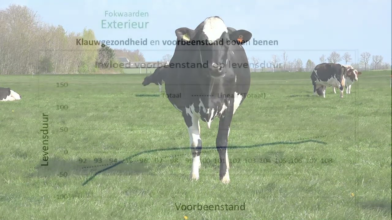 20241123  fokwaarden en triple-A voor levensduur