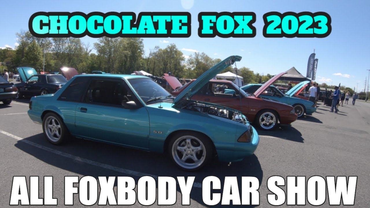 Chocolate Fox FOXBODY CAR SHOW FULL COVERAGE