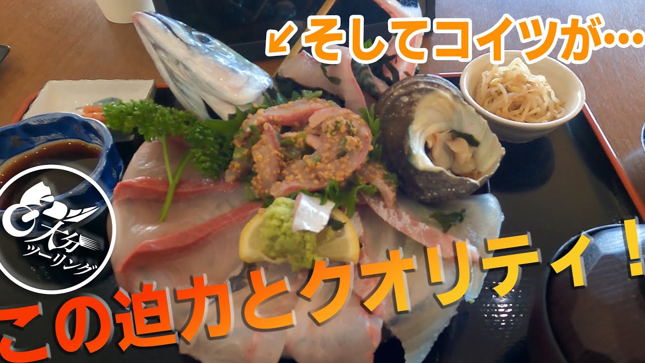 【大分グルメ】超贅沢！関あじ関さば！ブランド海鮮丼＆クロメをいただく「関あじ関さば館と道の駅さがのせき」
