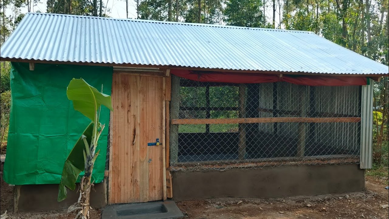 “Poultry House Construction Secrets THEY Don’t Want You To Know! 🐓💰