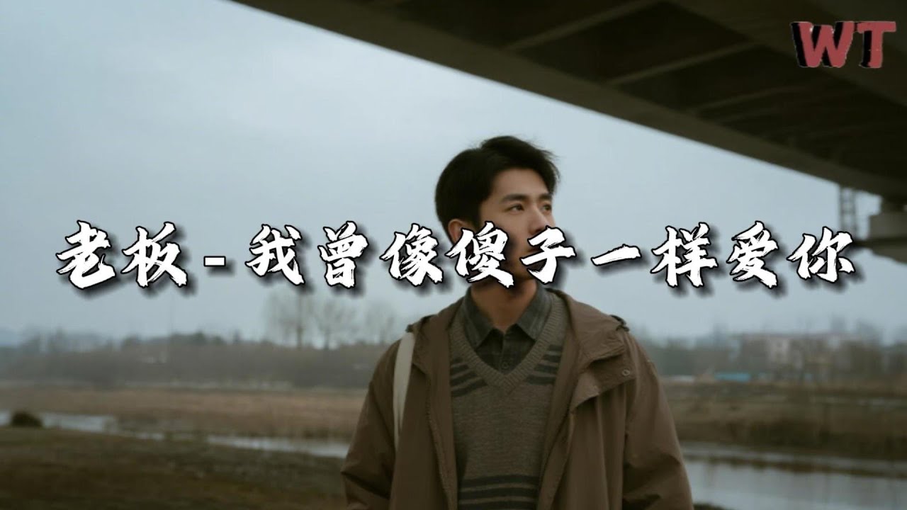 老板 - 我曾像傻子一样爱你『你转身离去就能放下了回忆，我困在原地还是学不会死心。』【动态歌词MV】