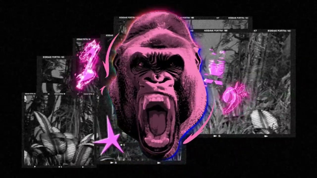 GORILLA 88-OCHO OCHO