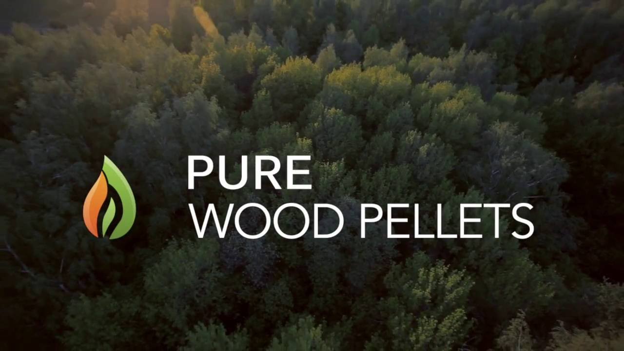 Pure Wood Pellets Absorbency Test
