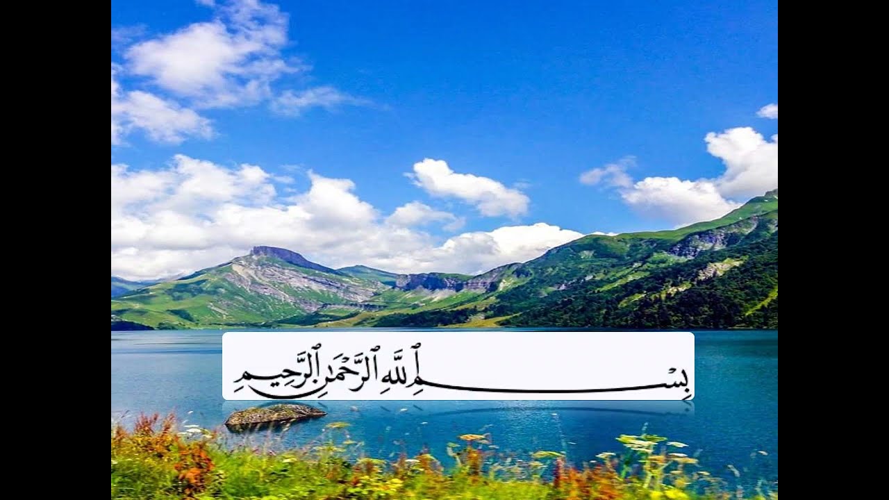 سورة عبس الصف الرابع الابتدائى المنهج الجديد 2026