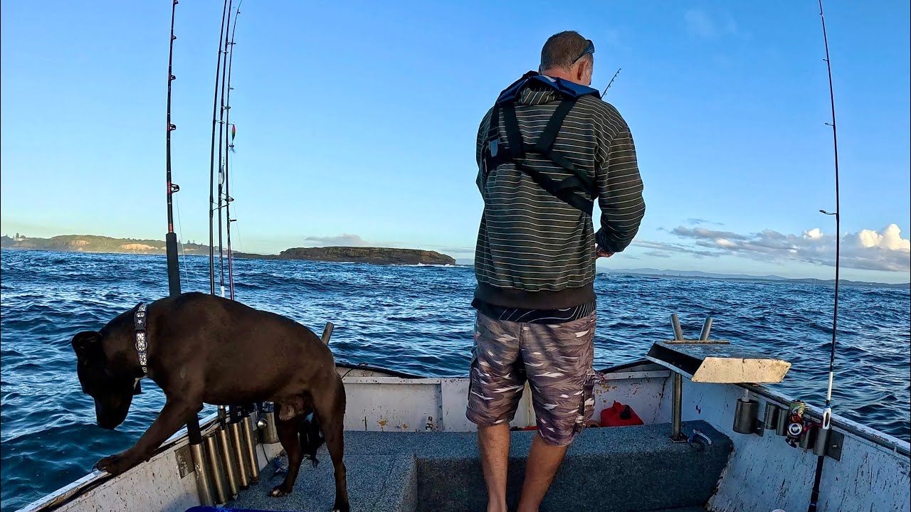 Fishing the pelagic run NSW (Catch & cook)