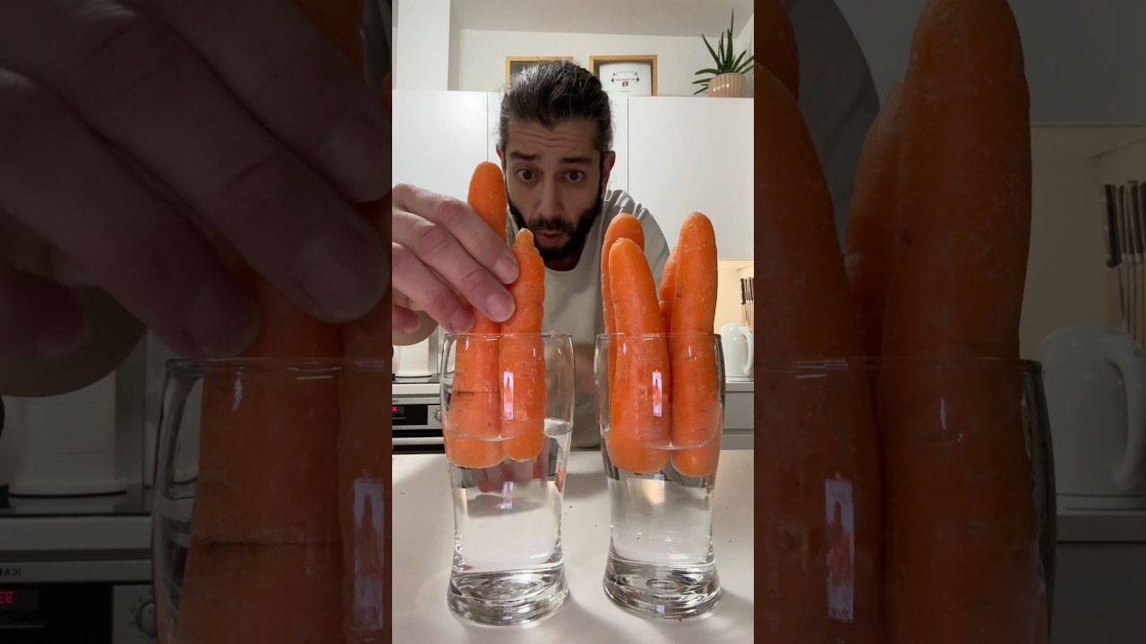 How to store food correctly and save money | creative explained