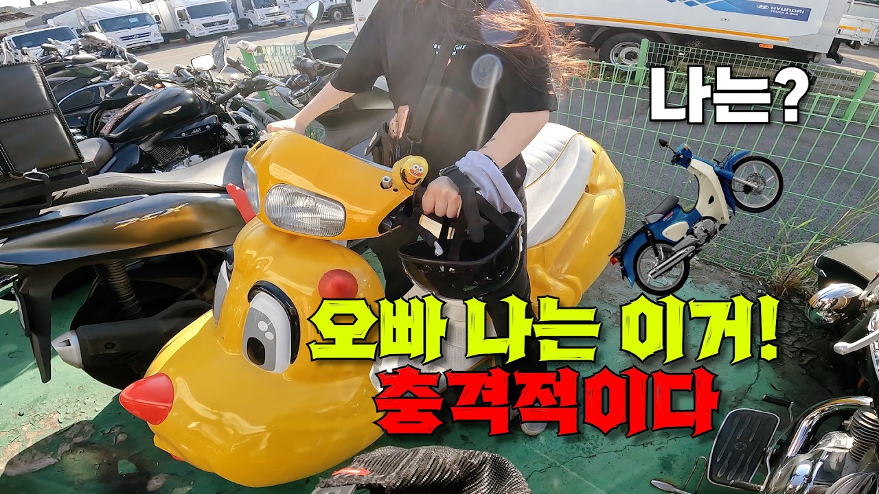 @레드불로드redbullroad-h1l  “슈퍼커브 마음은 잠시… 여친이 반한 진짜 바이크 등장💕”[부산 청년바이크 방문기]