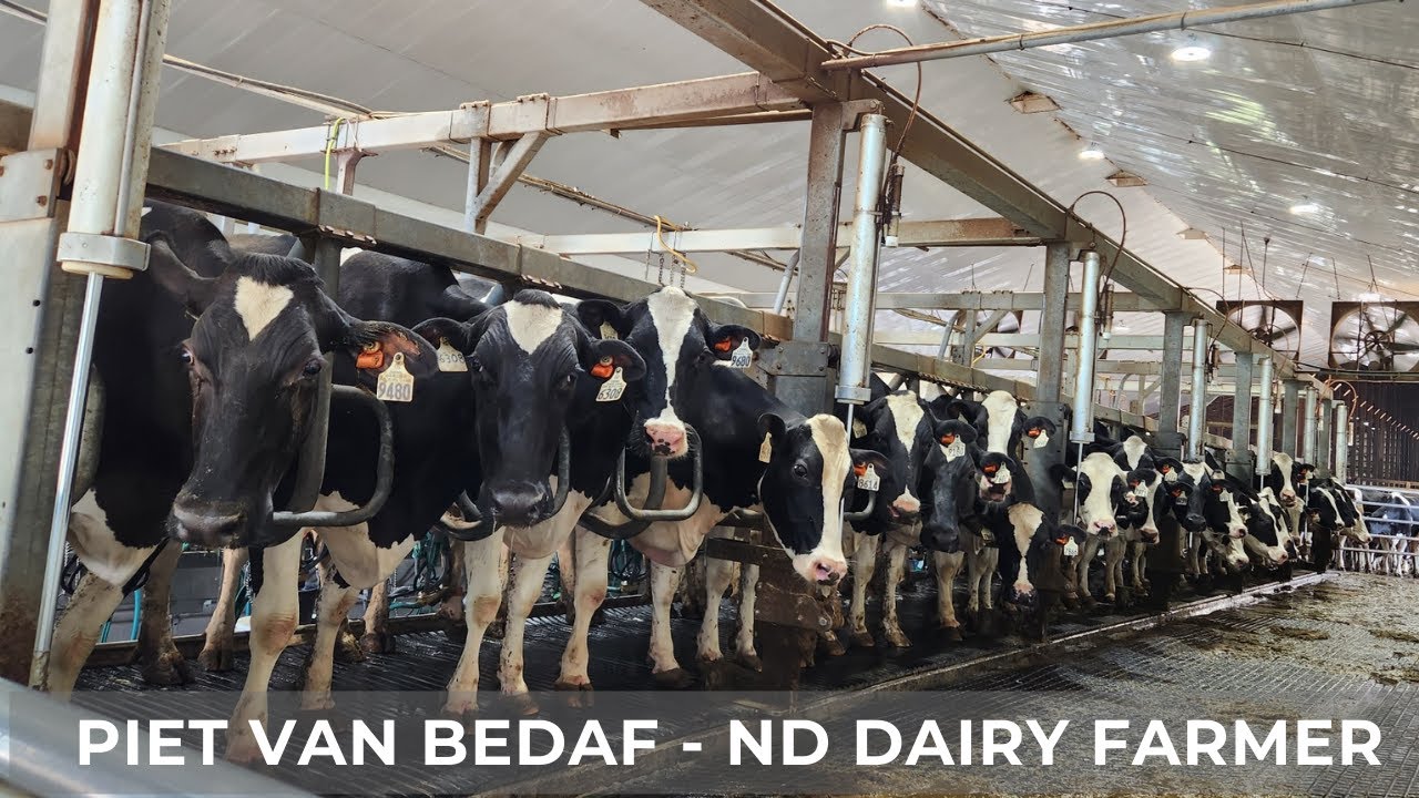 A2A2 Milk & Parlor Maintenance (124)