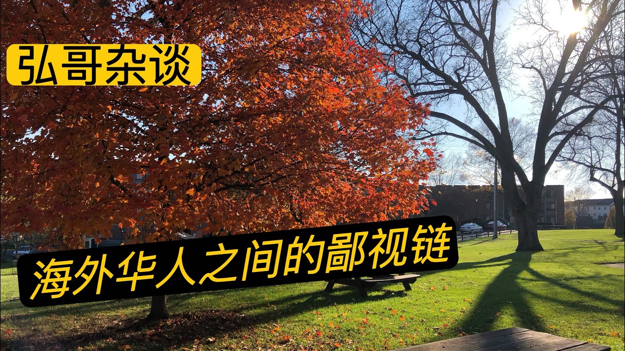 海外华人之间的五种鄙视链，但确实是个别现象，主要是含 “ 洋 ”量高的鄙视含 “ 洋 ”量低的，聊聊我刚来美国时的被温暖和被鄙视。
