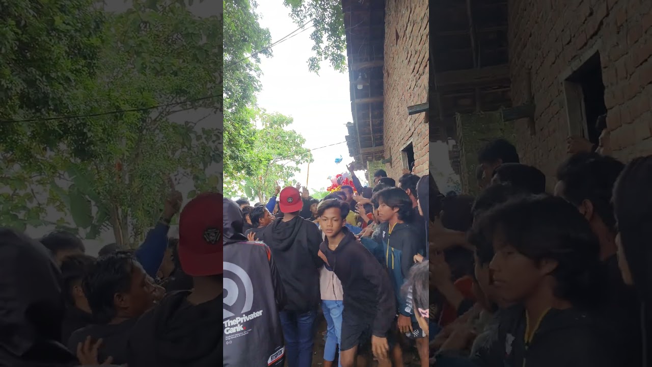 tawuran jaranan #jaranan #bantengan #barongan #samboyo