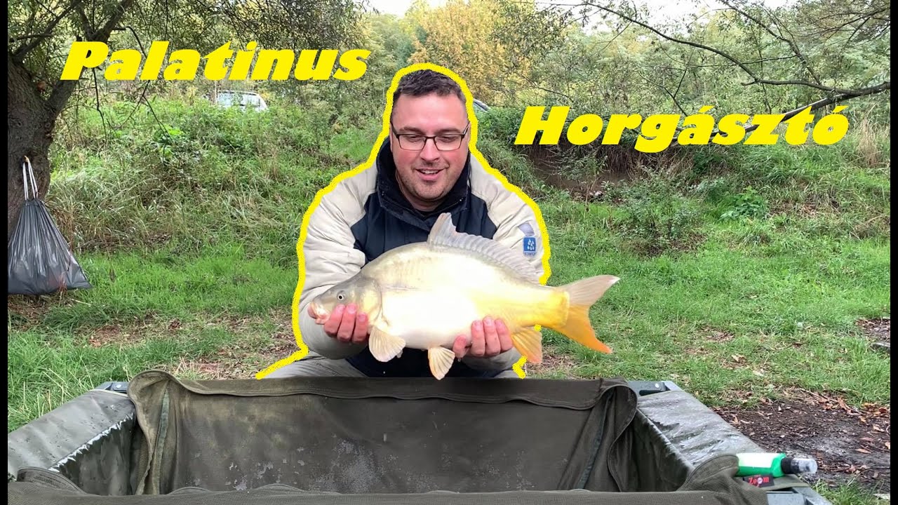 #Palatinus-tó #Egy nap a Dorogi Palatinus horgásztavon.