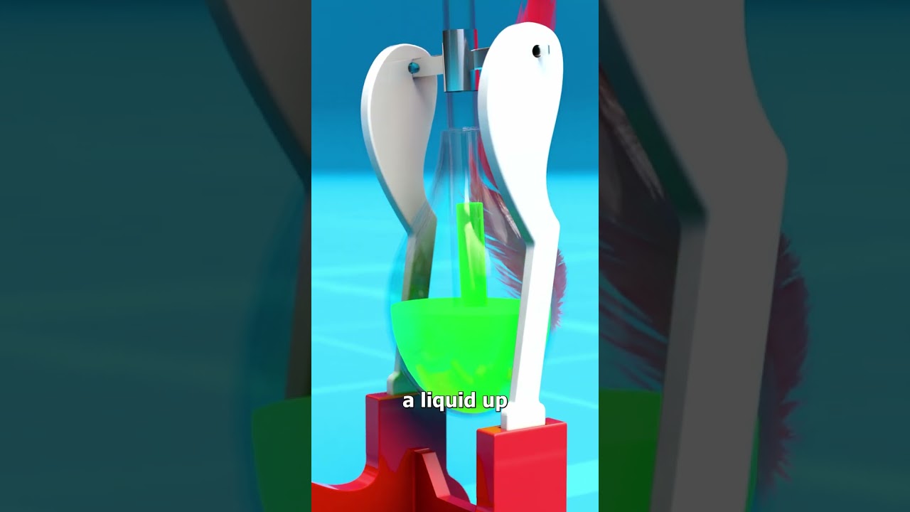 How The Drinking Bird Works 🤔