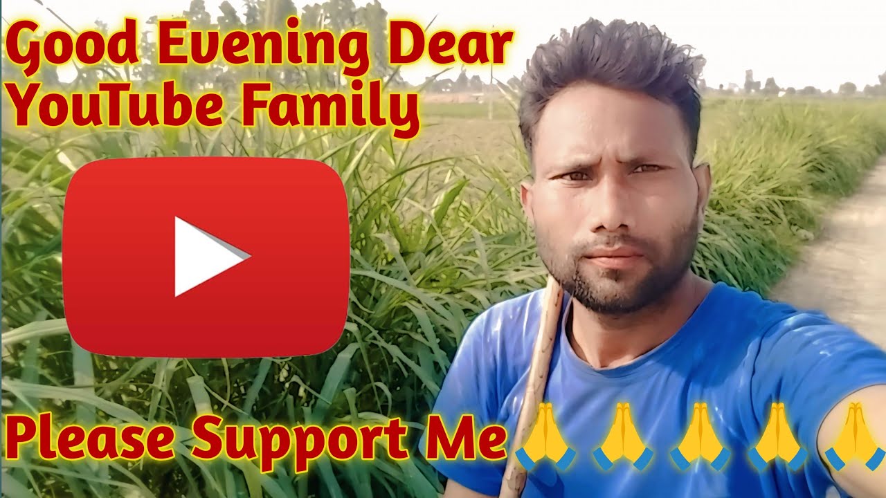 आज असमोली से बेलों के लिये ली पैनी@Dayanand lifestyle