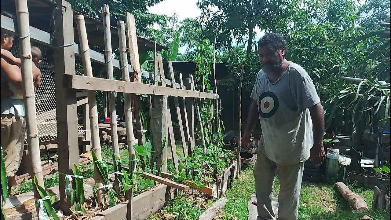 Making another Bed as an Extension on my Dragon Fruit Garden - Papua New Guinea