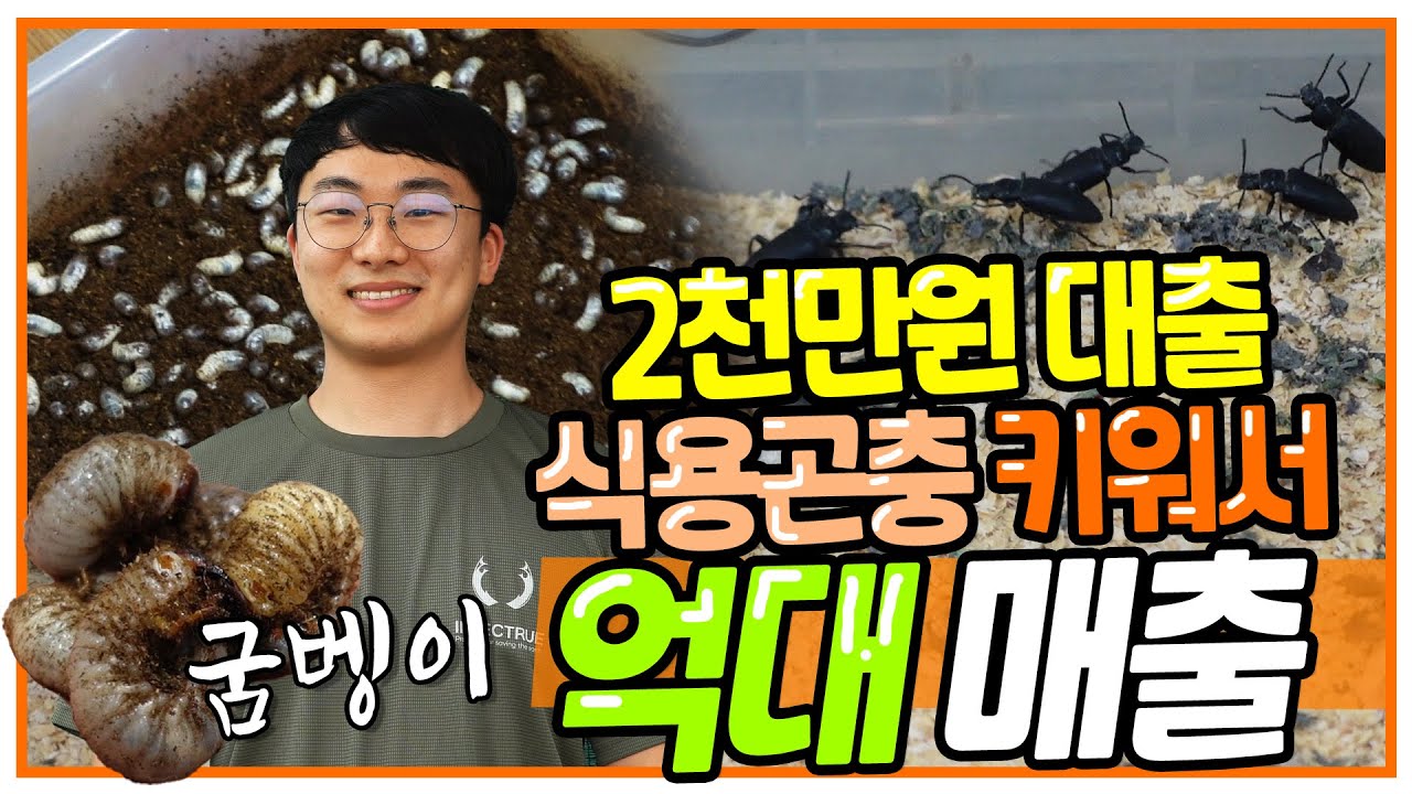 2천만원 대출받아 식용곤충으로 창업 5년만에 억대매출 올린 과정