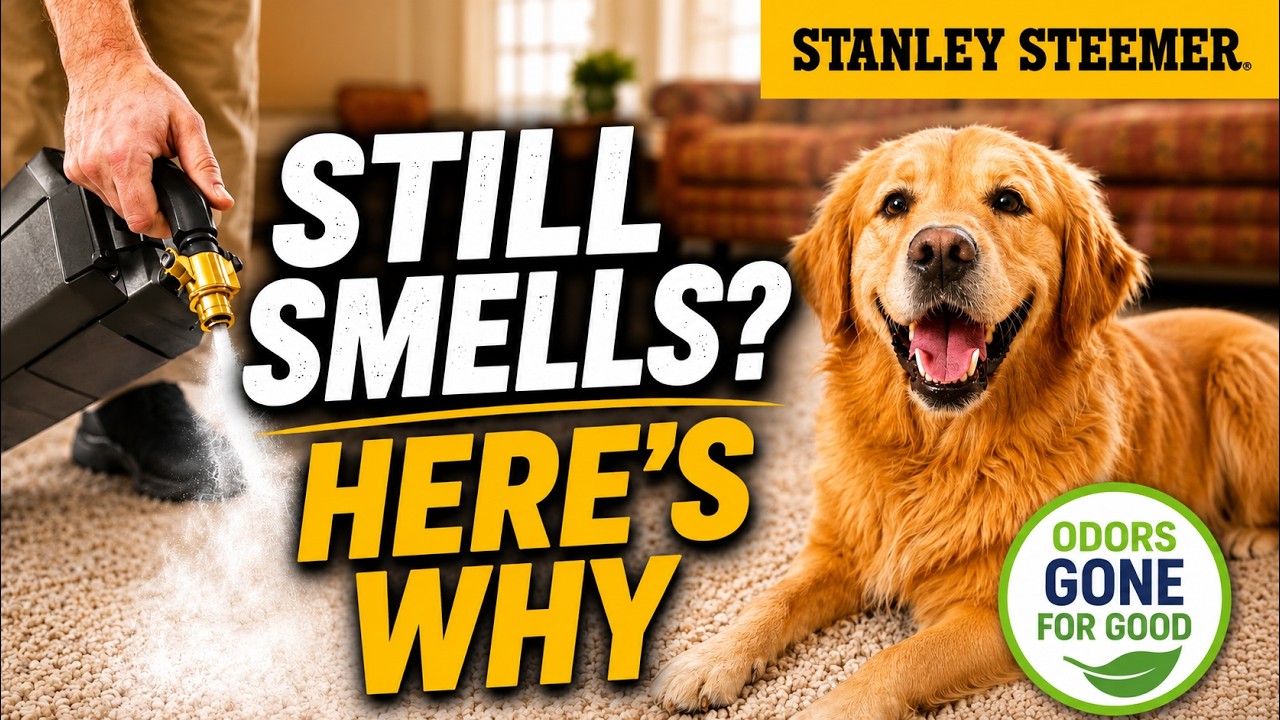 Carpet Still Smells After Cleaning? Here&rsquo;s Why.
