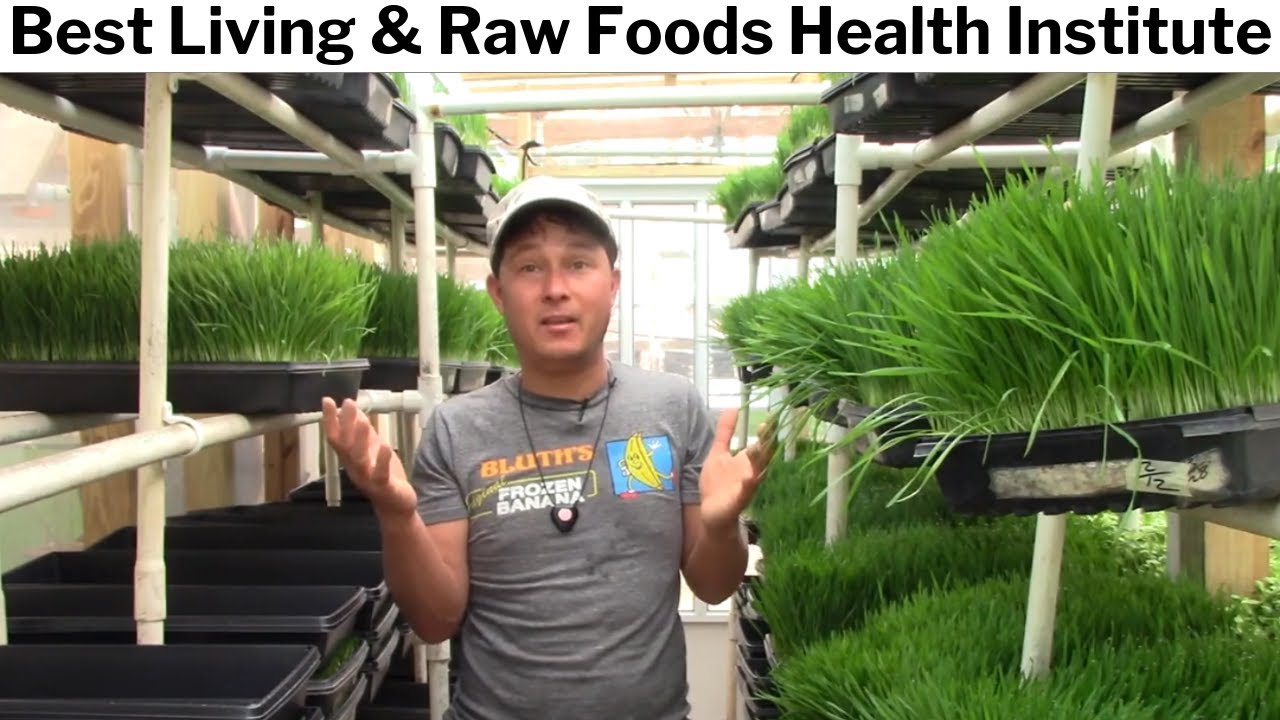 Best Living & Raw Vegan Foods Health Institute for Natural Healing