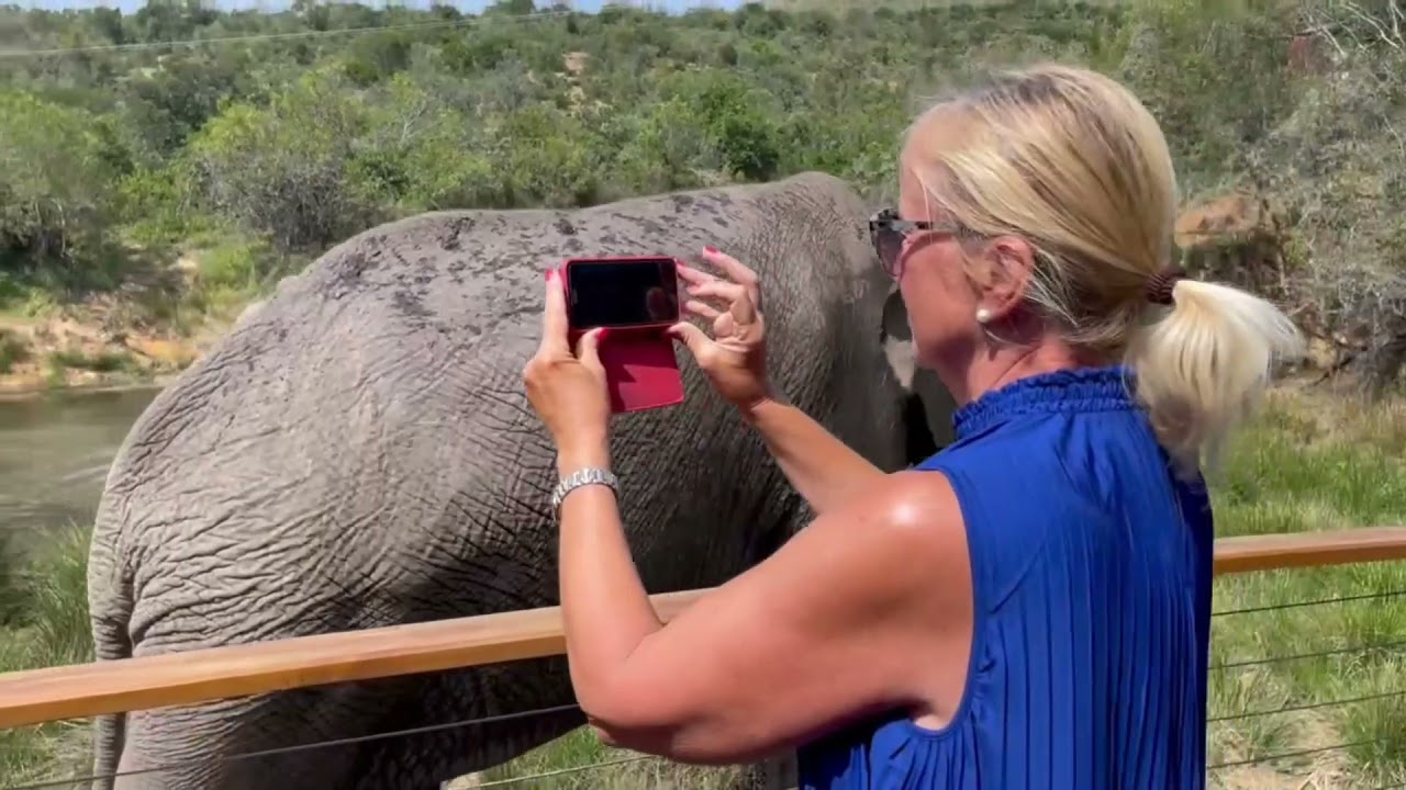 BAREFOOT ADDO ELEPHANT LODGE: THE EXPERIENCE