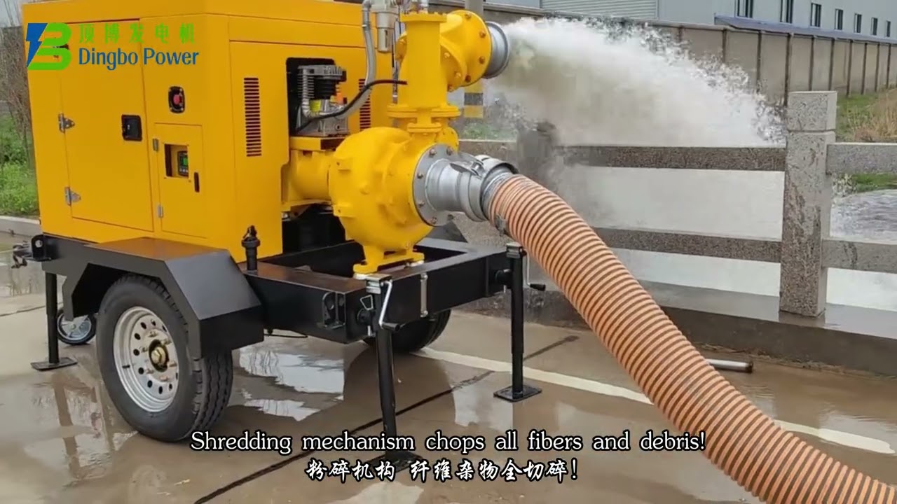 Dingbo Convenient Mobile Water Pump