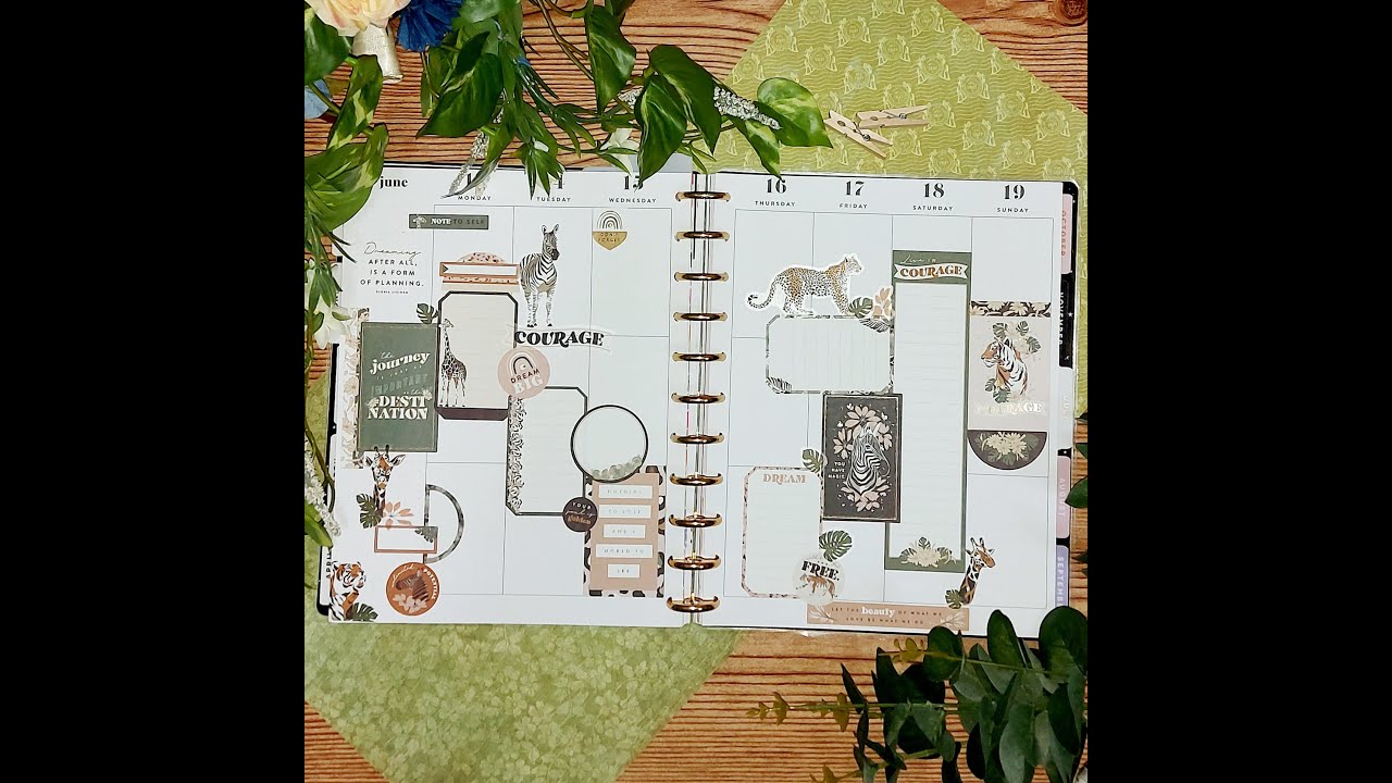 Plan With Me / Wellness Journal / Big Happy Planner