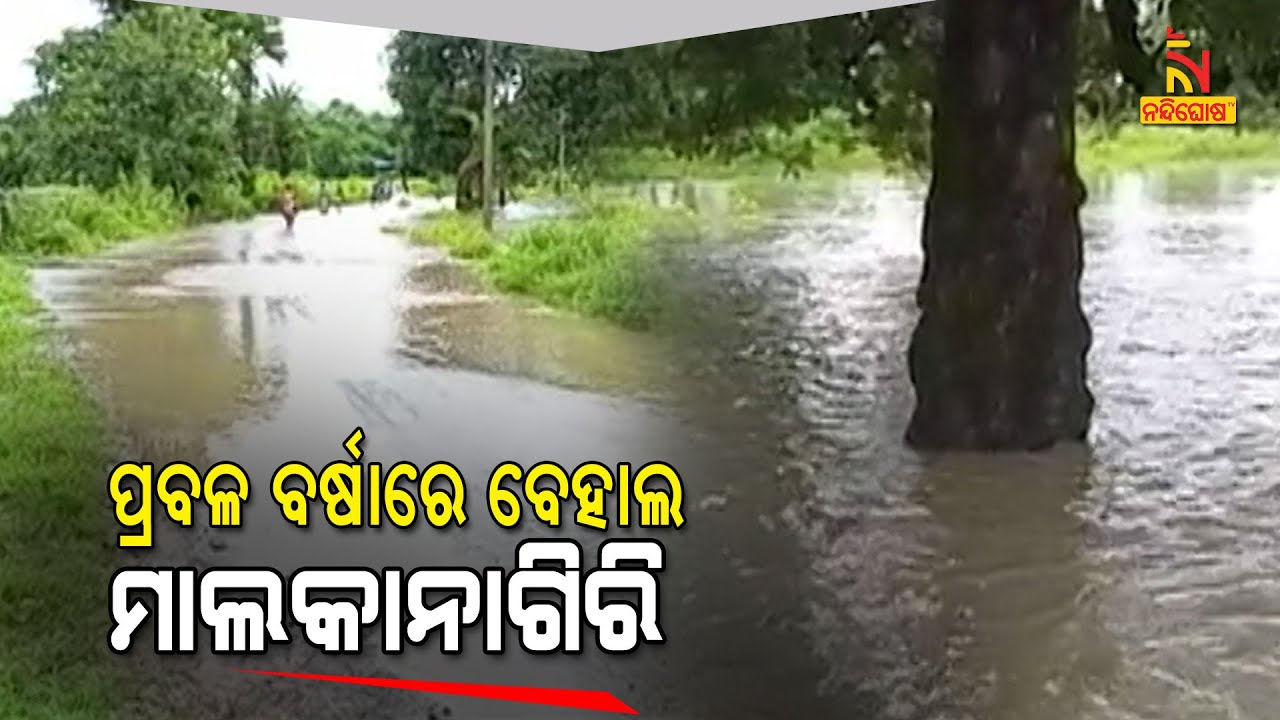 Water Enter Villages In Malkangiri Due To Heavy Rainfall | NandighoshaTV