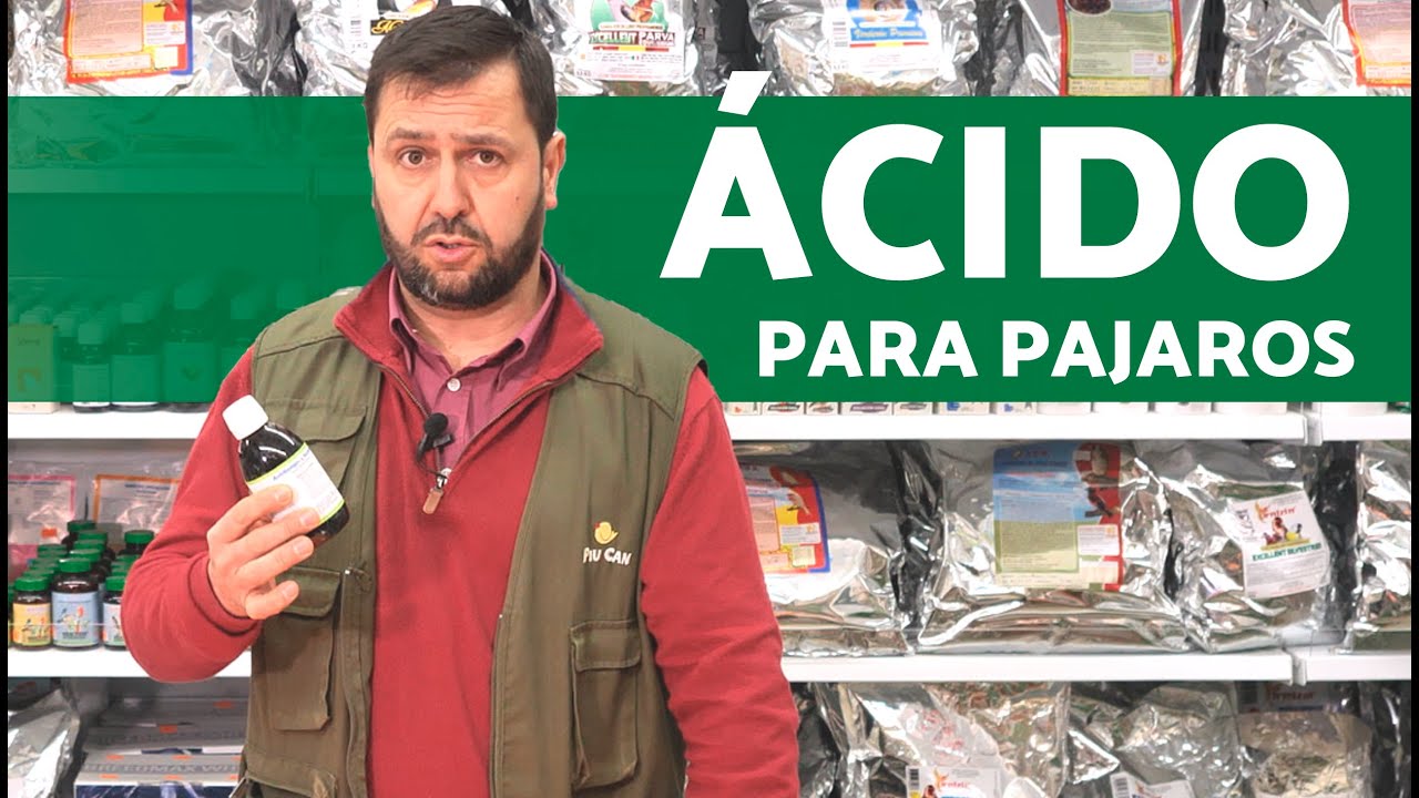Usos de LOS ÁCIDOS para PAJAROS 🧪 (Cómo USARLO)