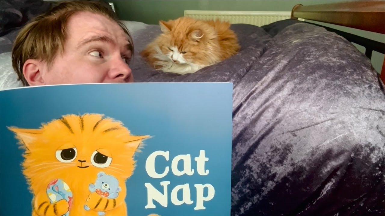 Story time: Cat Nap with Steve Antony