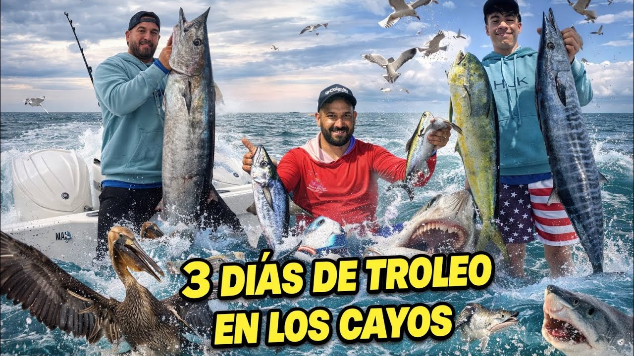 &ldquo;3 d&iacute;as cazando WAHOO | &iquest;Cu&aacute;l t&eacute;cnica funcion&oacute; mejor?&rdquo;