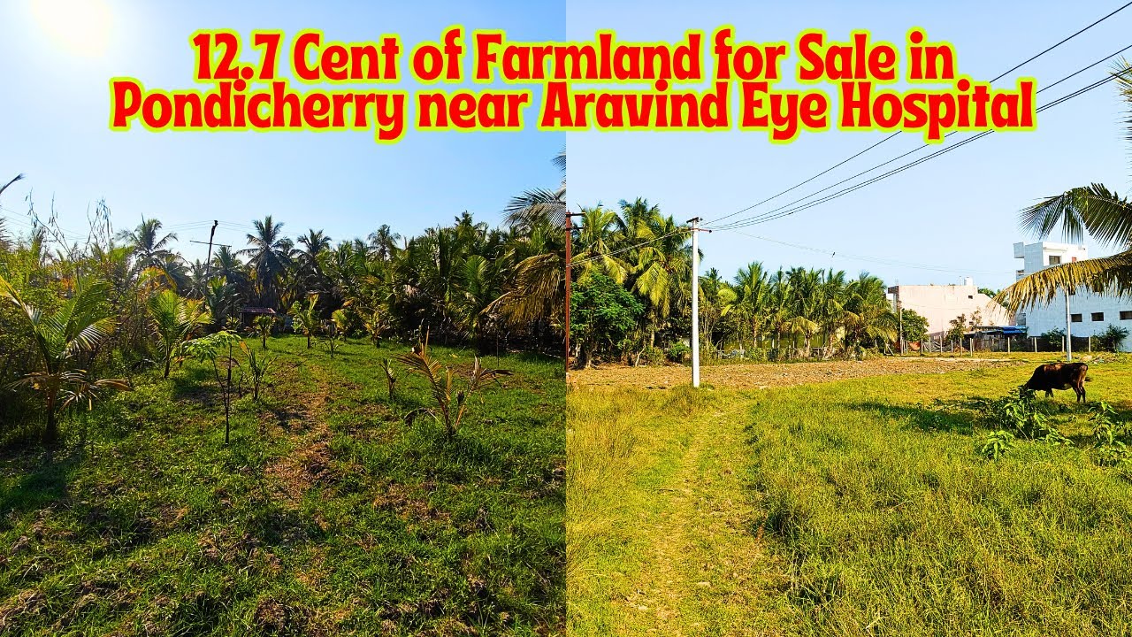 SOLD OUT|12.7 சென்ட்டில் free EB & Pumpset-வுடன் பண்ணைநிலம் Aravind Eye Hospital அருகே விற்பனை|E-548
