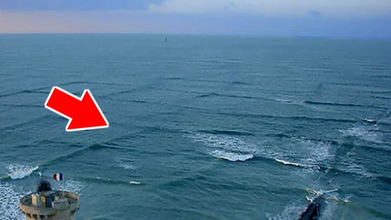 SI VOUS VOYEZ DES VAGUES CARRÉES À LA SURFACE DE L’EAU … ÉLOIGNEZ-VOUS ET PRÉVENEZ VITE LES AUTRES !
