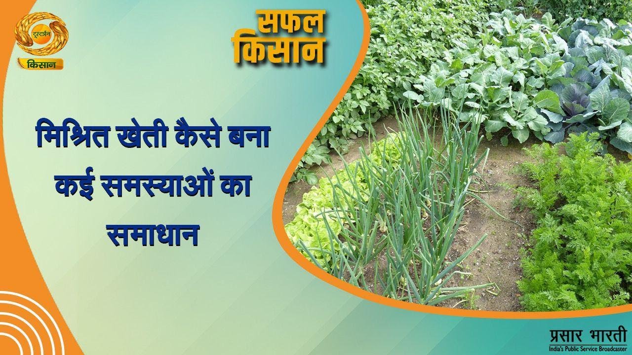 Safal Kisan | सफल किसान - मिश्रित खेती कैसे बनी कई समस्याओं का समाधान | DD Kisan | October 22, 2024