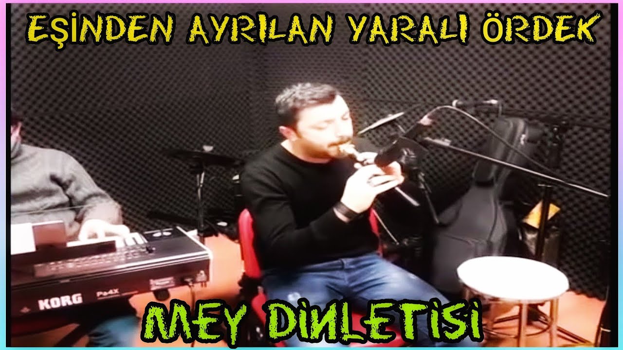 Eşinden Ayrılan &Ouml;rdek Muhteşem Mey Dinletisi Erdem ilkay