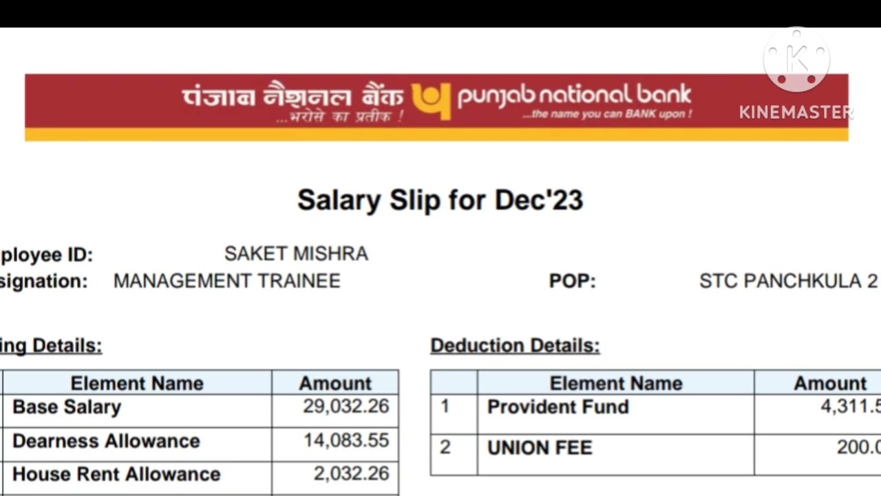 PNB PO 1st Salary ❤️ || IBPS PO 1st Salary Slip || IBPS PO latest salary Slip #ibpspo #pnb #salary