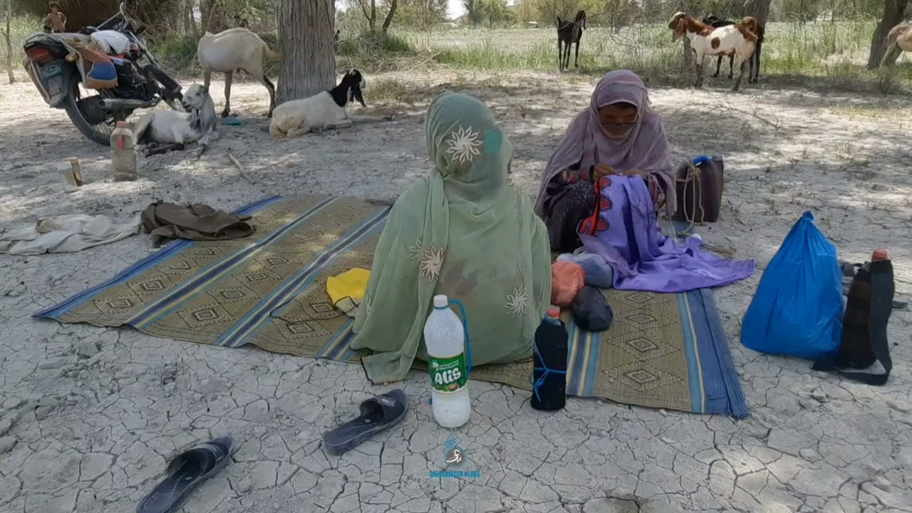 Abram | Nature | balochistanvlogs2020 #villagelife #naturelovers #forest #peaceful #beautifulnature
