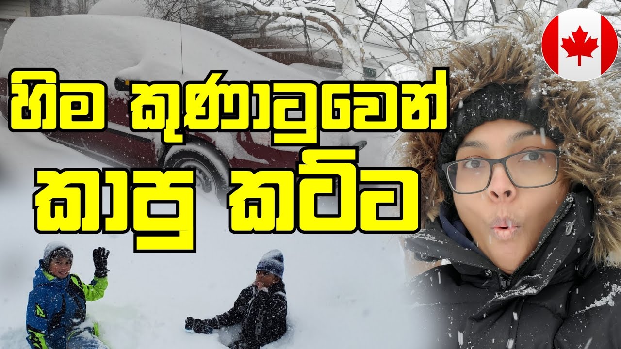 පාත්ත බොක්කට දරුණුවටම ආපු හිම කුණාටුව | Snow Strom In Canada | Canada Sinhala Vlogs @SehaVlogs