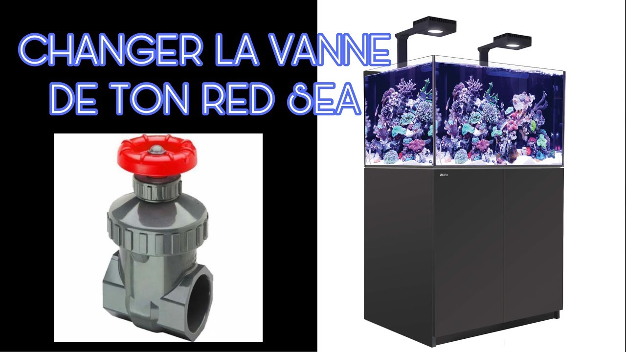 COMMENT CHANGER LA VANNE DE SON AQUARIUM RED SEA