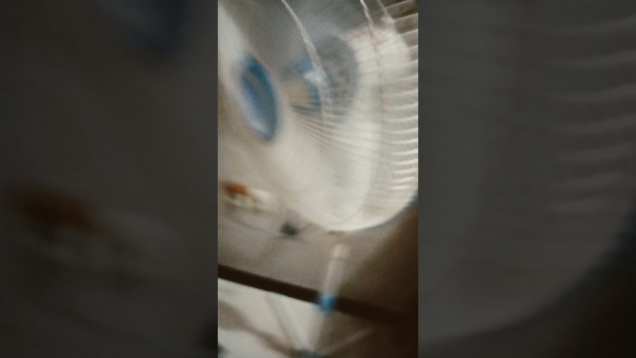 Miyako stand fan
