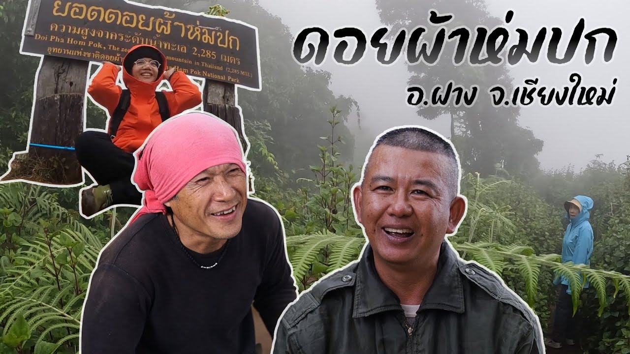 #เดินป่า ดอยผ้าห่มปก ทริป2วัน1คืน ไปง่าย สะดวกมาก Impact Camping