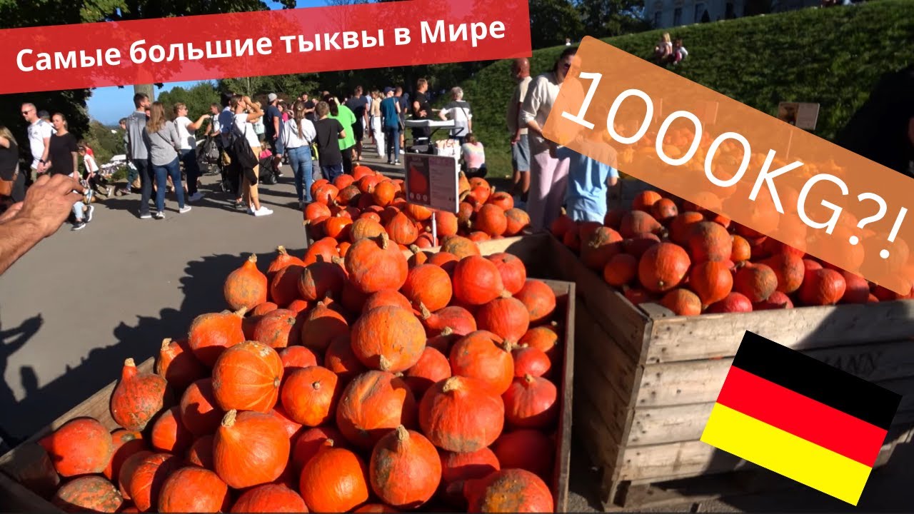 Германия. Копия Версаля.Самые большие тыквы в Мире.  Сад сказок. Дворец Людвигсбург.