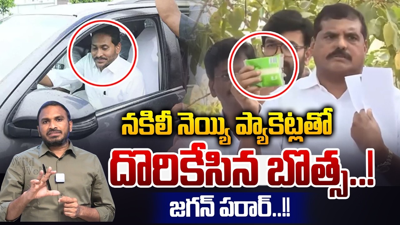 Botsa Satyanarayana Comments On Heritage: నకిలీ నెయ్యి ప్యాకెట్లతో దొరికేసిన బొత్స! | TTD Laddu Case