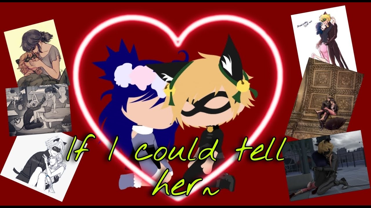 If I could tell her ❤🖤💚|| Marichat || Miraculous ladybug and Cat noir