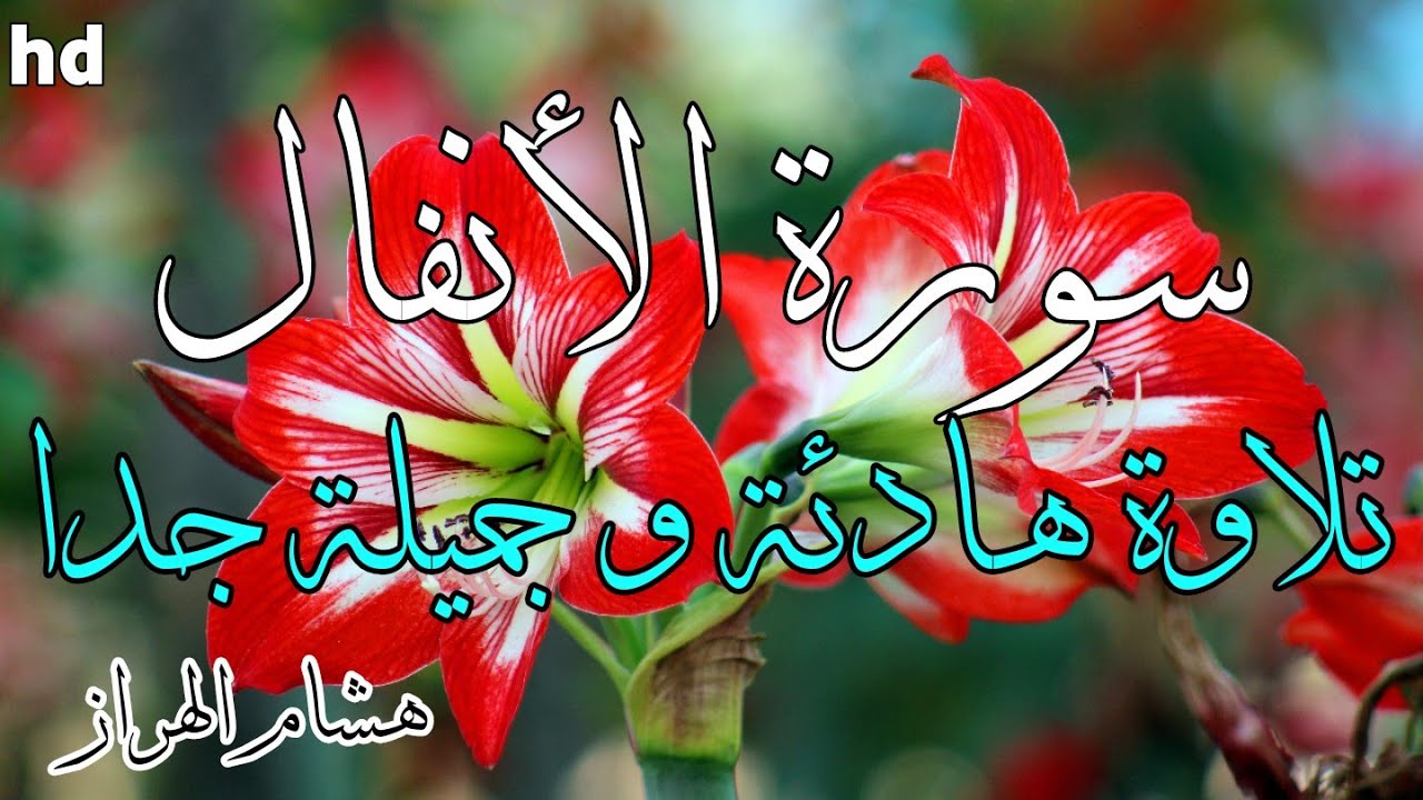 سورة الأنفال 🎧💙تلاوة عطرة وجميلة جدا 💙بصوت القارئ هشام الهراز.