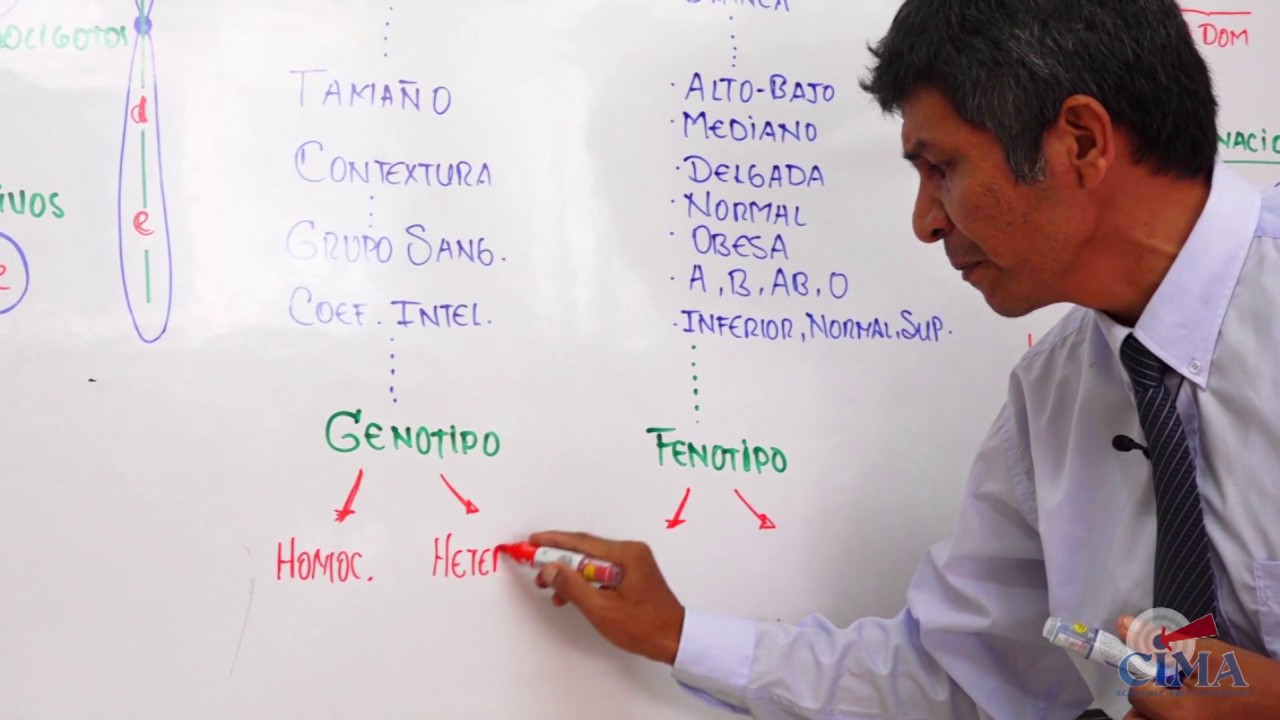 Clase Virtual de Biología