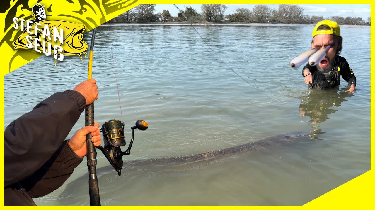 🎣 100 KILO FISCHE im HERBST 😱 Diese Strategie funktioniert fast immer!! | Jagd auf den größten WELS