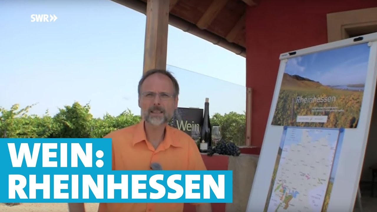 Werner erkl&auml;rt Wein: Rheinhessen